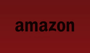 Aaron Shedlock Voice Actor Amazon Logo