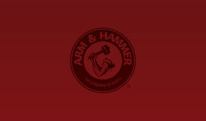 Aaron Shedlock Voice Actor Arm & Hammer Logo